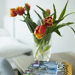 Bed & Breakfast Centrum Gdynia